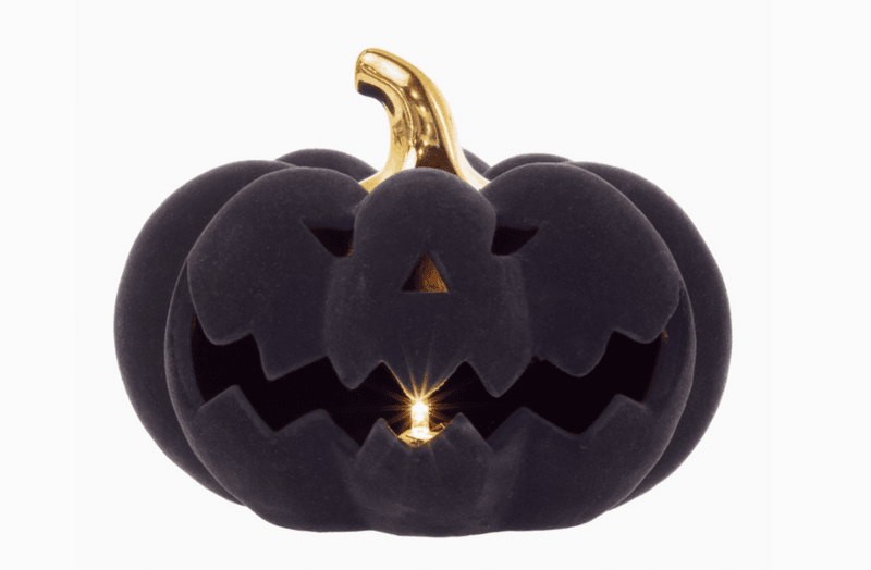 Dia Black Flocked Velvet Jack O Lantern Led Halloween